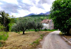 a dirt road next to an old building and trees at Ai Limiti • 67 • StoneHouse in Palombaro