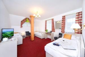 Televízia a/alebo spoločenská miestnosť v ubytovaní Hotel Hradec