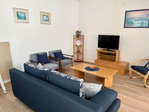 TV a/nebo společenská místnost v ubytování Apartments Villa Emilija