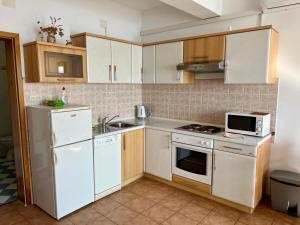 Kuchyň nebo kuchyňský kout v ubytování Apartments Villa Emilija