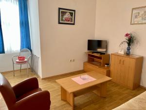 TV a/nebo společenská místnost v ubytování Apartments Villa Emilija