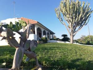 eine Statue eines Kaktus vor einem Haus in der Unterkunft Casa Sgarlata in Scicli