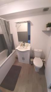 a white bathroom with a toilet and a sink at Escapade Au Calme De La Rivière in Métabief
