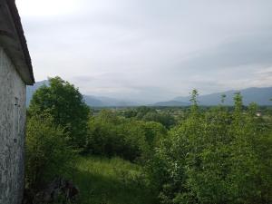 uitzicht op bomen en bergen in de verte bij Country stone house Kovacevic in Danilovgrad