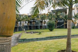 a building with palm trees in front of it at Quintas do Mar I in Ribeira Grande