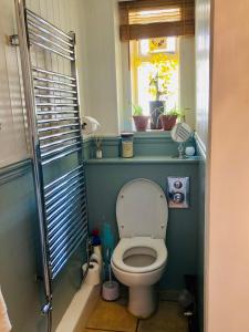 ein kleines Badezimmer mit Toilette und Fenster in der Unterkunft Castle View Cottage in Lincoln + 15 Fotos