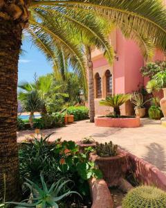 a pink house with palm trees and plants at Equi Palace & SPA Near Aeroport in Berrechid