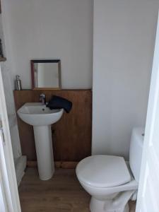 uma casa de banho com um WC branco e um lavatório. em Trois Mousquetaires Gîte em Saint-Dizier-Leyrenne