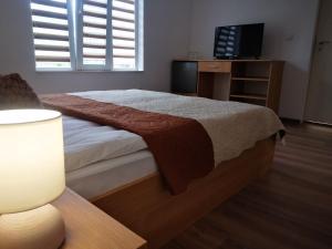 - une chambre avec un lit, une télévision et une fenêtre dans l'établissement Saint Maria Guest House, à Velingrad