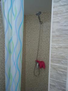 Appartamento Leuca في ليوكا: دش في حمام مع منشفة حمراء