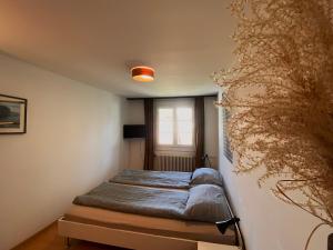 1 cama en una habitación con una planta en la pared en Budgetapartment Martinsturm von Swisspartments, en Arbon
