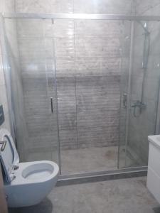 La salle de bains est pourvue d'une douche et de toilettes. dans l'établissement Studio Sebastian, à Mamaia