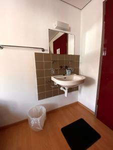 a bathroom with a sink and a mirror at Budgetapartment Seealpsee von Swisspartments in Arbon