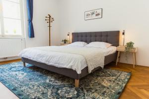 1 dormitorio con 1 cama grande con alfombra en Top location CITY CENTRE CONDO in historic building with free garage PARKING, en Liubliana