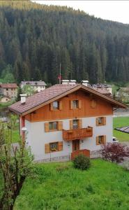 a house in a field with a mountain in the background at B&B Il Tulipano in San Pietro di Cadore