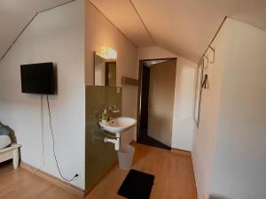 a bathroom with a sink and a toilet and a tv at Budgetapartment Pfänder von Swisspartments in Arbon