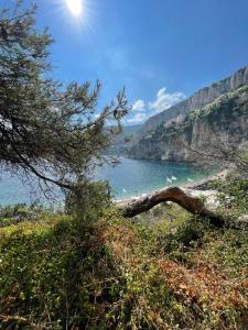 Paesaggio naturale nelle vicinanze dell'hotel