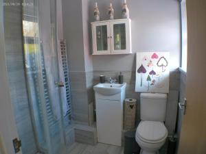 a bathroom with a toilet and a sink at 1 bedroom Annex in the heart of Amman Valley in Bettws