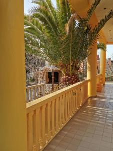 een balkon met een palmboom erop bij Villa Steffany Apartments in Kolan