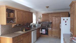 Kuchyňa alebo kuchynka v ubytovaní Villa Luxury