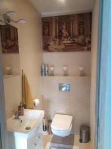 La salle de bains est pourvue de toilettes blanches et d'un lavabo. dans l'établissement Dom w malowniczej wsi z imprezową stodołą Hot Tub jacuzzi, à Zakrzewo Zalesie