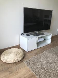 TV i/ili multimedijalni sistem u objektu Appartement Cosy Hyper Centre Loulou at Home