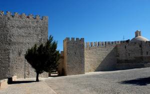 a tall brick wall with a tree in front of it at Cozy apartment Elvas1 in Elvas