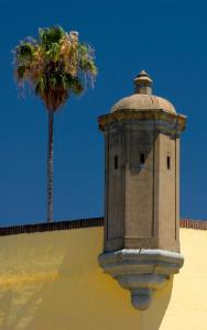 a palm tree next to a wall with a tower at Cozy apartment Elvas1 in Elvas +3 photos
