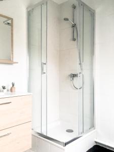 a shower with a glass door in a bathroom at Le gite 7 - Les Châteaux d'Ottrott in Sélestat +46 photos