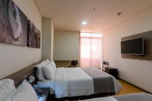 TV a/nebo společenská místnost v ubytování Hotel Vivre