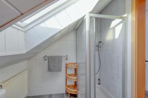 ein Bad mit einer Dusche und einer Leiter in der Unterkunft Ferienhaus bei Zoe mit Sauna in Kirchheim