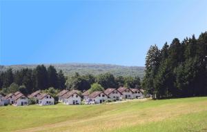 eine Gruppe von Häusern auf einem Hügel auf einem Feld in der Unterkunft Ferienhaus bei Zoe mit Sauna in Kirchheim
