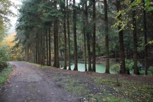 Naturlandschaft in der Nähe des Ferienhauses