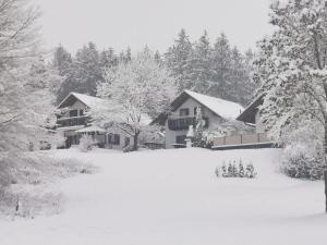 Ferienhaus bei Zoe mit Sauna im Winter