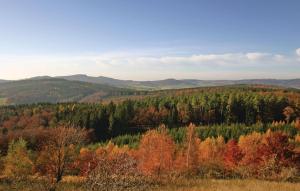 Naturlandschaft in der Nähe des Ferienhauses