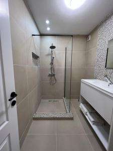 a bathroom with a shower and a sink at Vila Adelis in Vama Veche