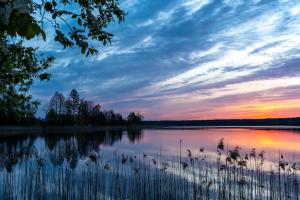 een zonsondergang boven een meer met riet op de voorgrond bij Sielska Przystań in Sucha Rzeczka