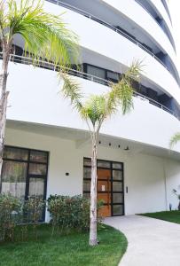 By the Sea 3 - Luxurious Residence في دوريس: نخلة أمام المبنى