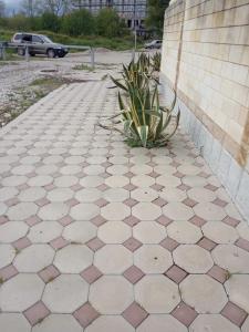 a tiled sidewalk with a plant next to a wall at Квартира Гудоу in Gudauta