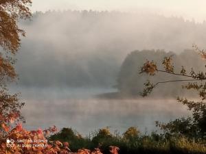 a foggy view of a lake in the woods at RELAXX Home in Woryty +38 photos