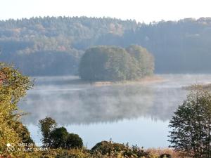 a view of a lake with trees in the distance at RELAXX Home in Woryty