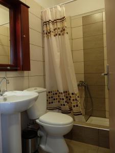 a bathroom with a toilet and a sink and a shower at Villa Sofia Fanari in Fanari