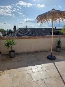 a umbrella sitting on a patio with two plants at L'Appartement de la MAISON BLEUE in Villeréal