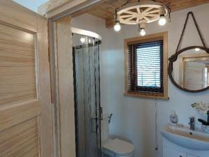 a bathroom with a shower and a toilet and a sink at KALINOWY SAD DOMKI z JACUZZI i SAUNĄ in Mikołajki +31 photos