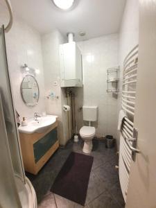 a bathroom with a sink and a toilet and a mirror at Apartment Lily near Zagreb airport in Velika Gorica