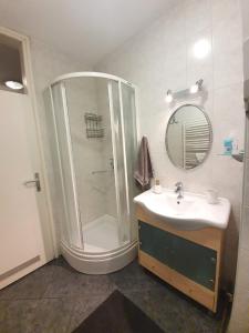 a bathroom with a shower and a sink and a mirror at Apartment Lily near Zagreb airport in Velika Gorica