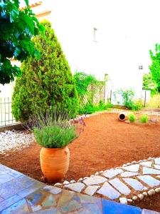 Fotografia z galérie ubytovania Nafplio View Luxury House v destinácii Ária