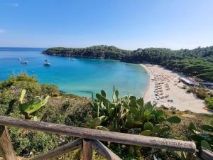 a view of a beach with boats in the water at Eco Hotel Montemerlo in Fetovaia