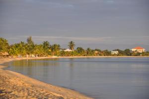a beach with palm trees and a body of water at Sea View Suites in Placencia