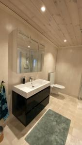 La salle de bains est pourvue d'un lavabo et de toilettes. dans l'établissement Penthouse by the ski lift, 4 bedrooms, 2 living rooms, à Stranda